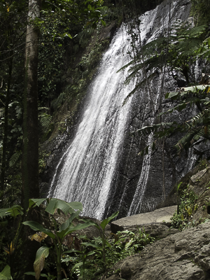 Waterfall in the eastern rainforest, Puerto Rico.